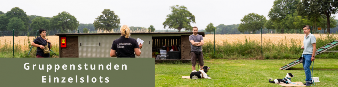 Gruppenstunden / Einzelslots