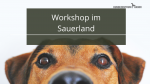 Workshop im Sauerland.... hier geht es lang.... :-)
