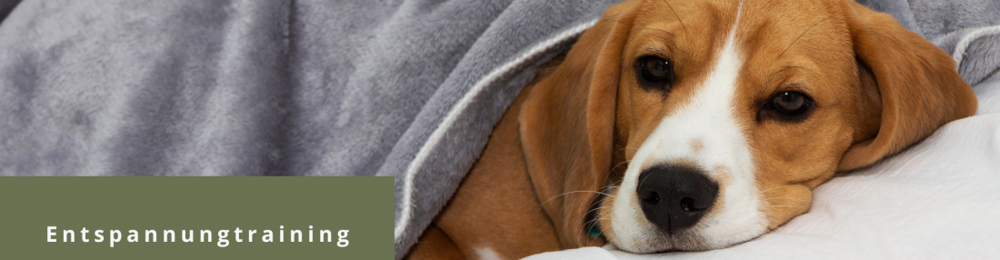 Entspannungstraining