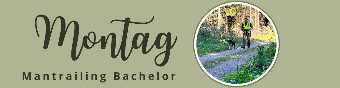 Mantrailing - Montag