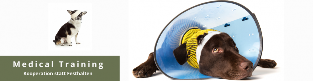 Medical Training - Kooperation statt Festhalten